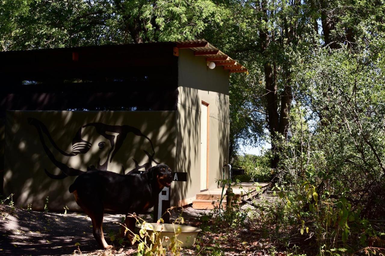 Phazama Farm Vila Maun Exterior foto