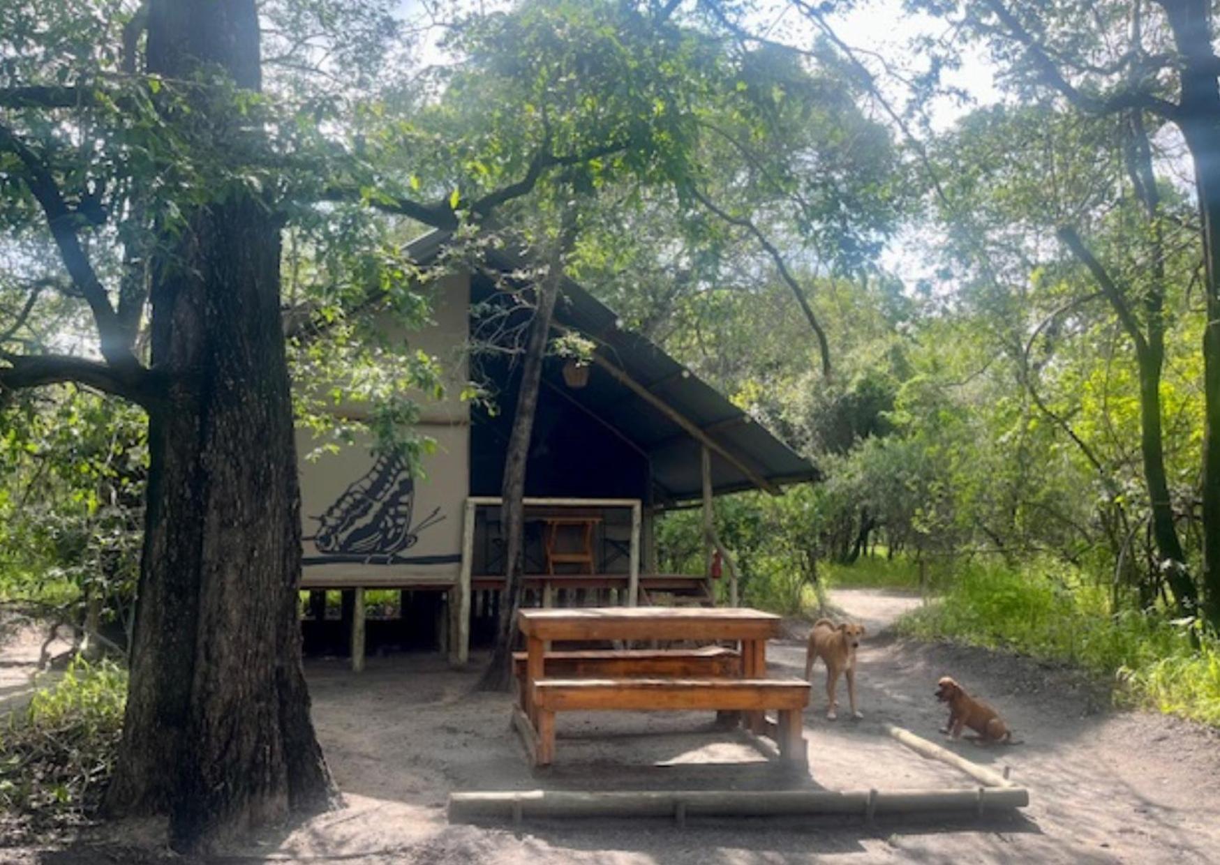 Phazama Farm Vila Maun Exterior foto